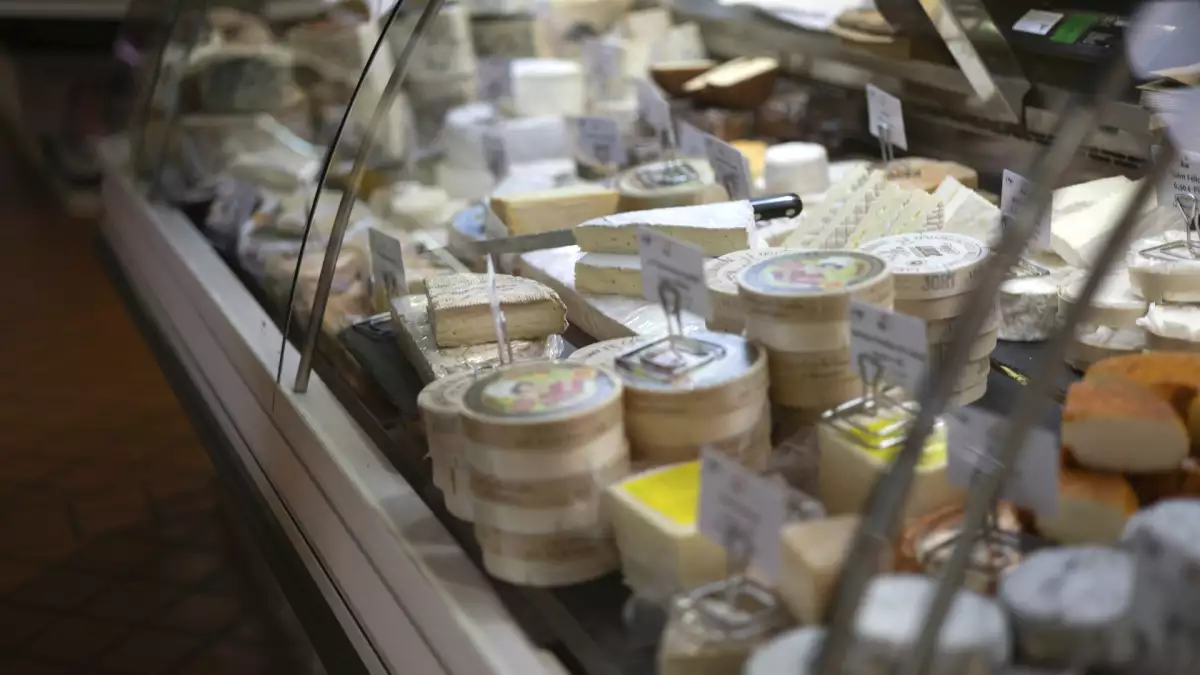 Od lady do domu: jak dobrze zacząć?