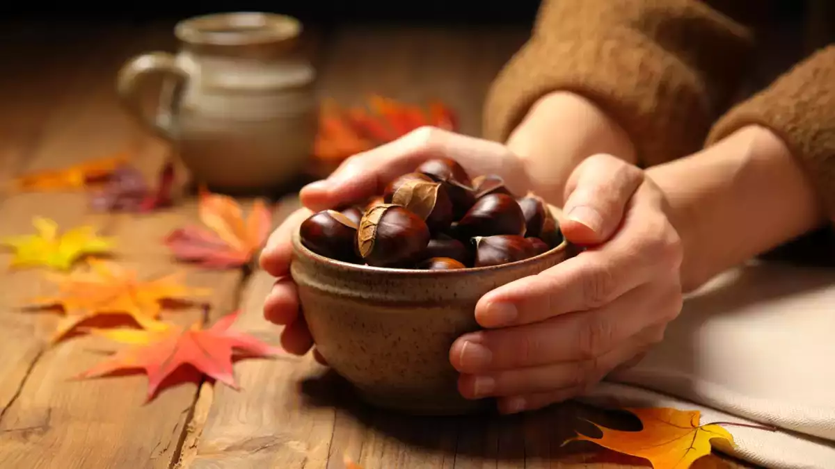 Czy kasztany są tuczące? Co naprawdę mówią dietetycy