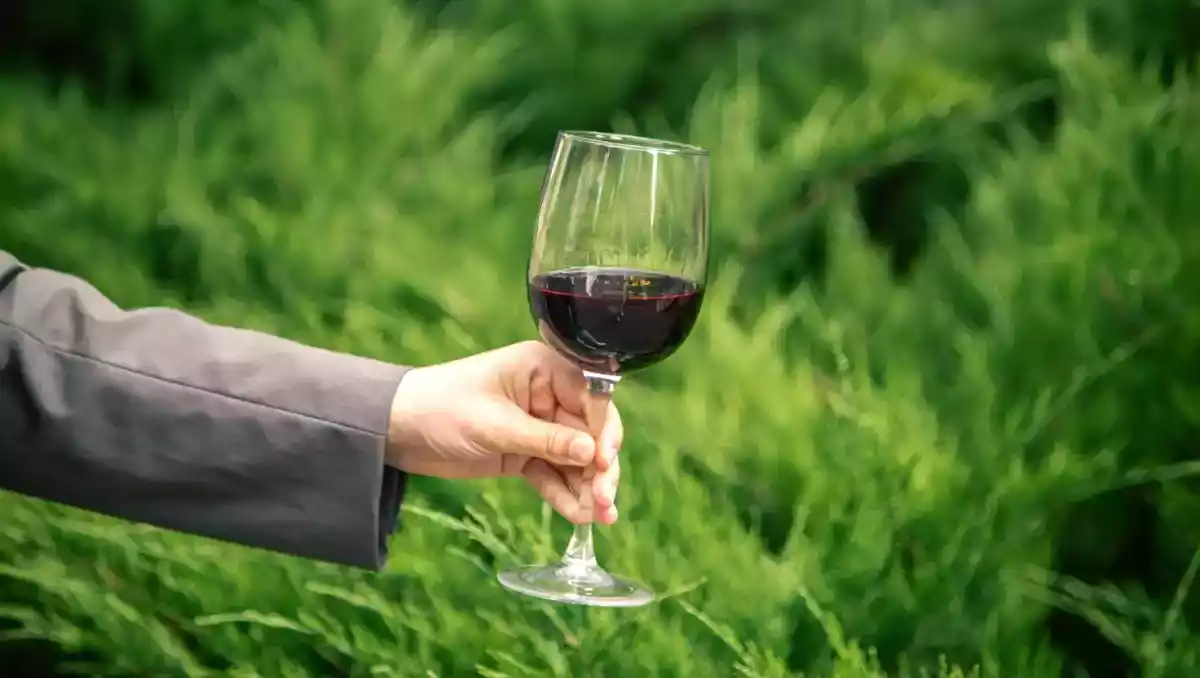 Wino wegańskie: czym jest, jak się je produkuje i dlaczego zyskuje coraz więcej konsumentów?