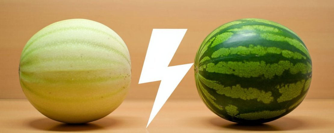 Melon vs arbuz: który lepiej nawadnia?
