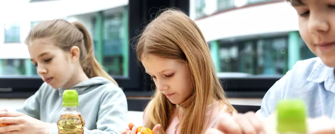 Najpopularniejsza ryba w szkolnych menu, zakazana we Francji z powodu swojej toksyczności