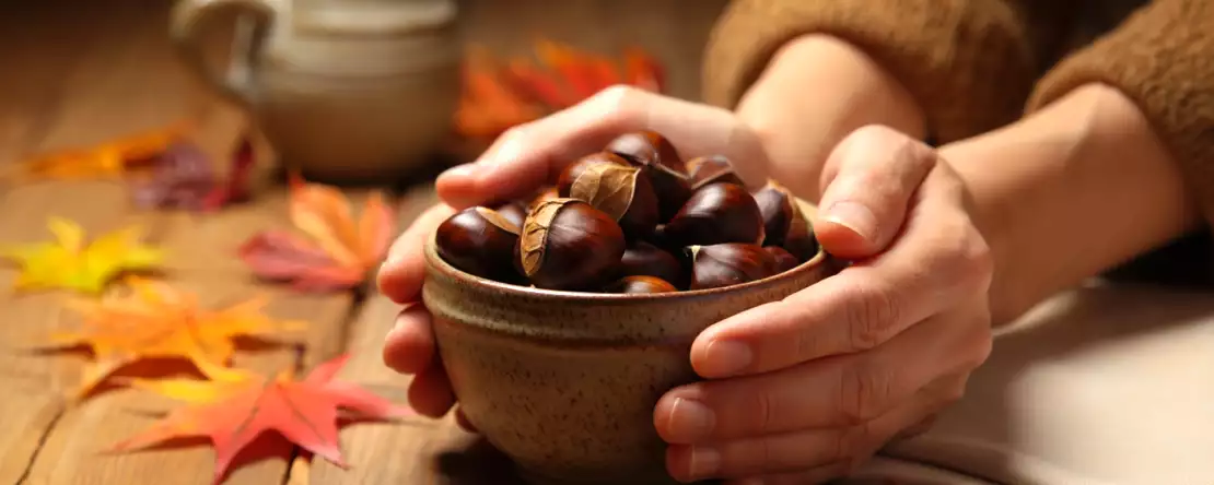 Czy kasztany są tuczące? Co naprawdę mówią dietetycy