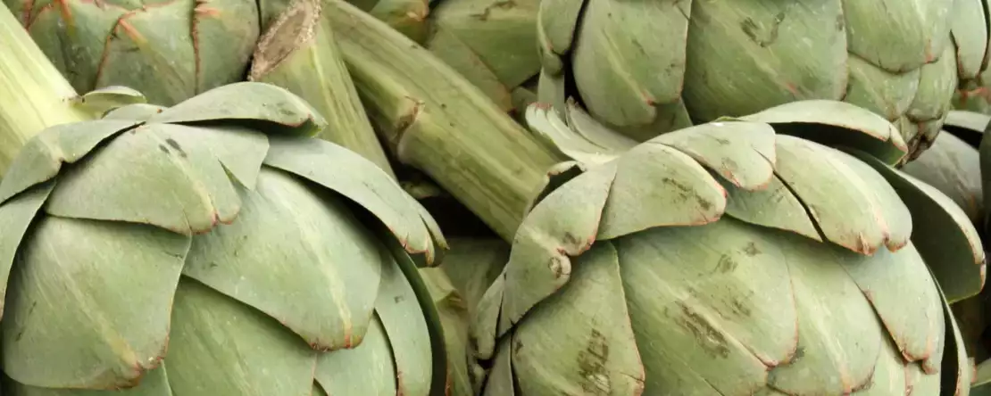 Jak szybko i bezpiecznie gotować karczochy w kuchence mikrofalowej