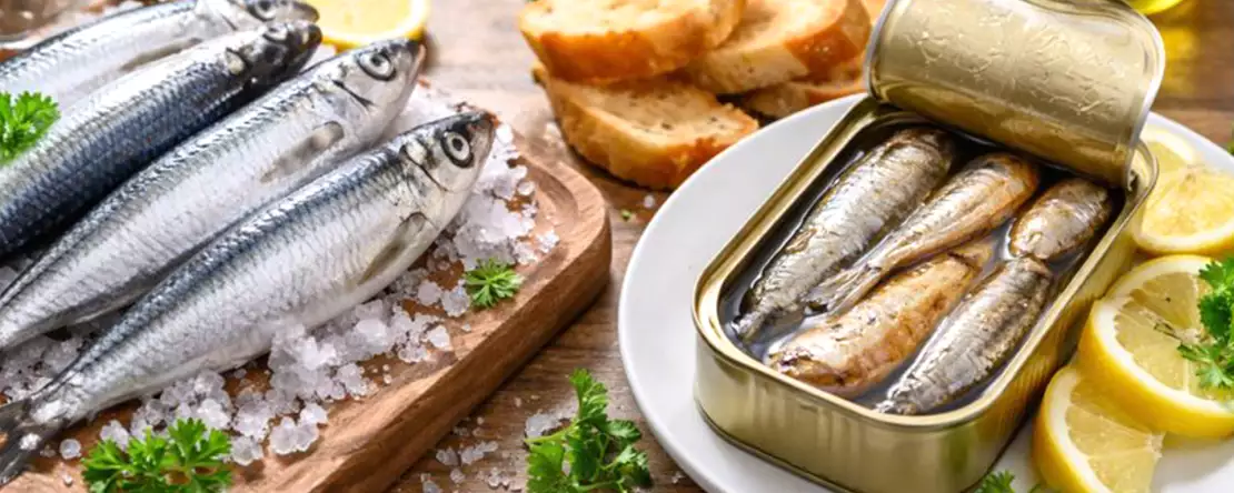 Świeże i puszkowane sardynki: wszystko, co musisz wiedzieć, zanim zdecydujesz, co trafi na Twój stół