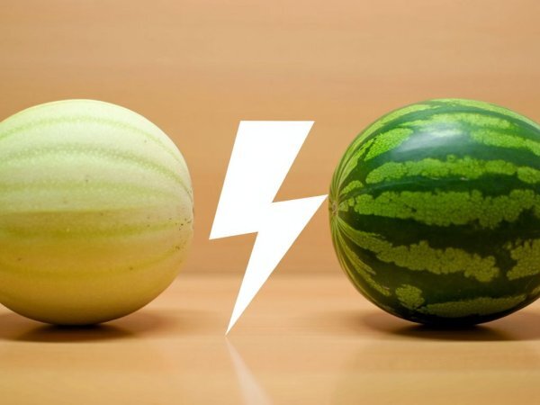 Melon vs arbuz: który lepiej nawadnia?
