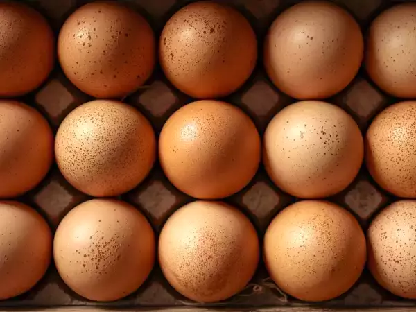 Białko, cholesterol, energia... co się stanie, jeśli codziennie będziesz jeść jajka?