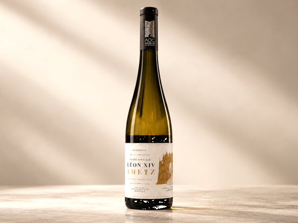 Wino papieża zniknęło w ciągu 48 godzin: historia cuvée, którą wszyscy chcieli spróbować