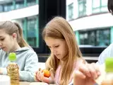 Artykuły: Najpopularniejsza ryba w szkolnych menu, zakazana we Francji z powodu swojej toksyczności