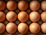Artykuły: Białko, cholesterol, energia... co się stanie, jeśli codziennie będziesz jeść jajka?