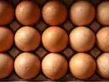 Artykuły: Białko, cholesterol, energia... co się stanie, jeśli codziennie będziesz jeść jajka?