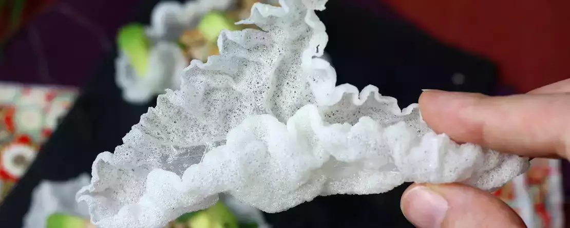 Jak zrobić chipsy z papieru ryżowego?