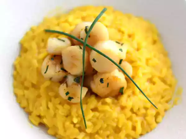 Przepis Risotto z przegrzebków z szafranem