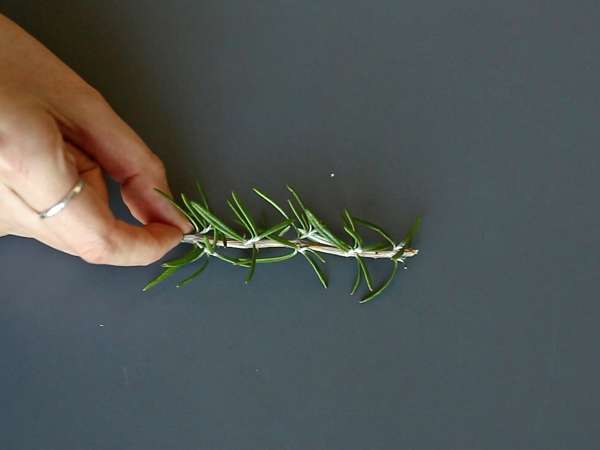 Koktajl z ośnieżoną jodłą w środku - Przygotowanie krok 1