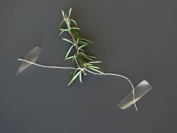 Koktajl z ośnieżoną jodłą w środku - Przygotowanie krok 3