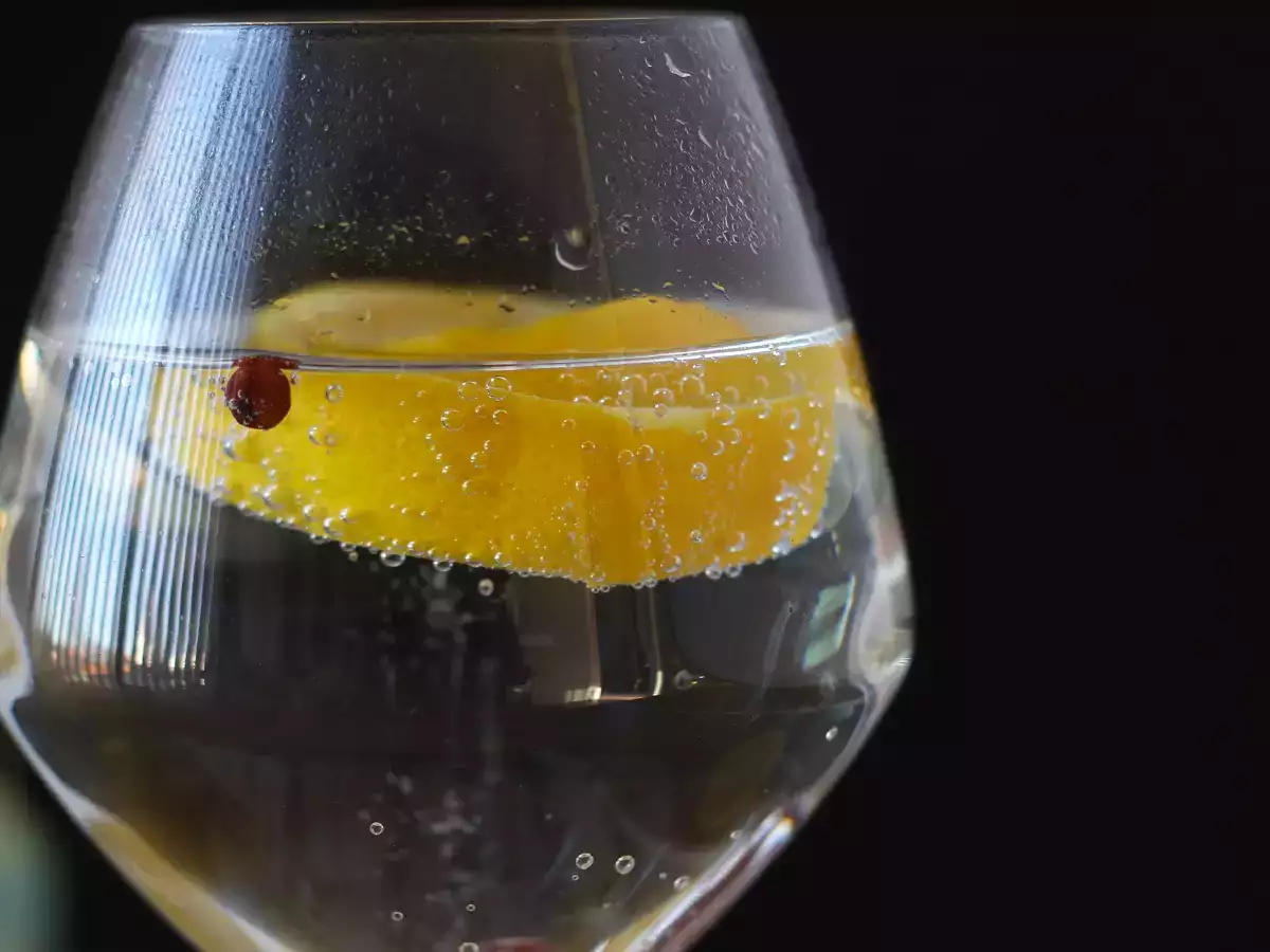 Gin z tonikiem – kultowy koktajl na aperitif! - zdjęcie 5
