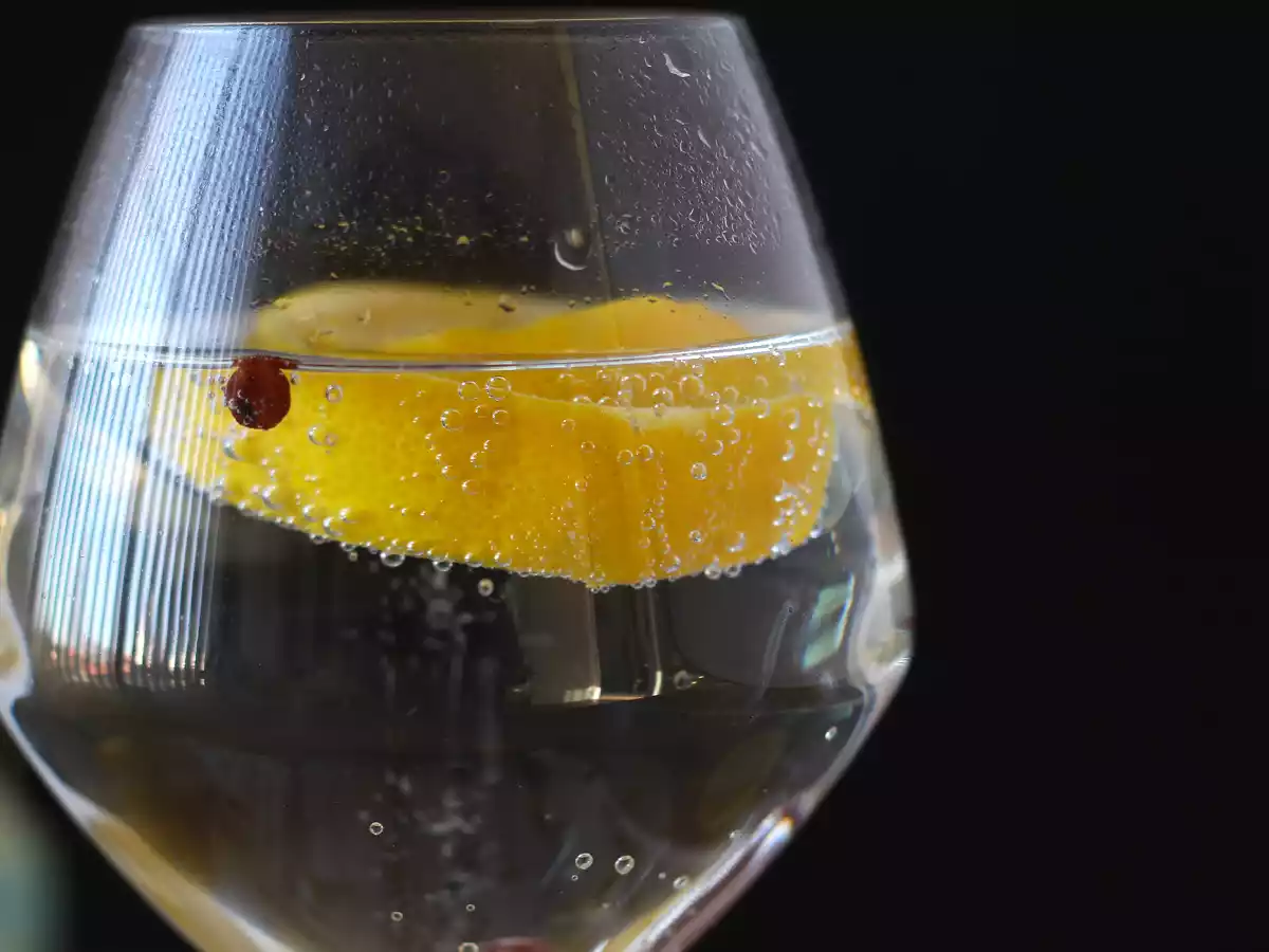 Gin z tonikiem, niezbędny koktajl na aperitif! - zdjęcie 5