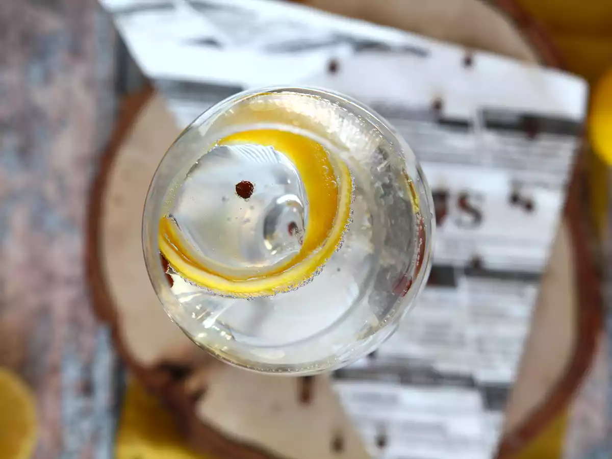 Gin z tonikiem, niezbędny koktajl na aperitif! - zdjęcie 6