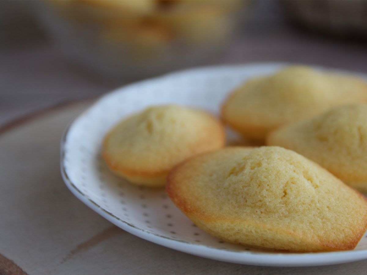 Zwykłe Madeleines - zdjęcie 4