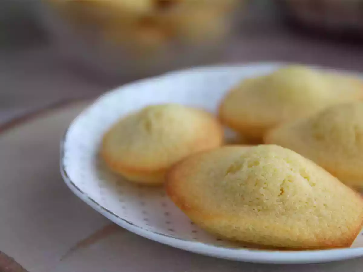 Zwykłe Madeleines - zdjęcie 4